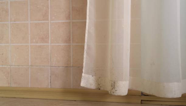 Best Environmental Consulting for Mold Prevention  in Manchester, PA