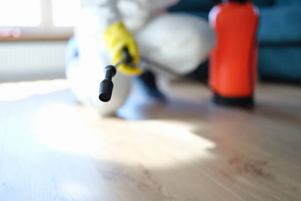 Best Commercial Mold Inspection  in Manchester, PA