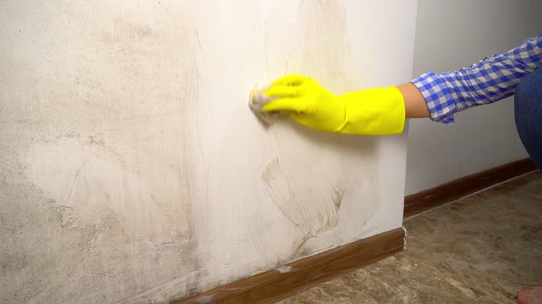 Mold Remediation for Rental Properties in Manchester, PA